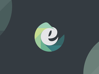 E360 branding design