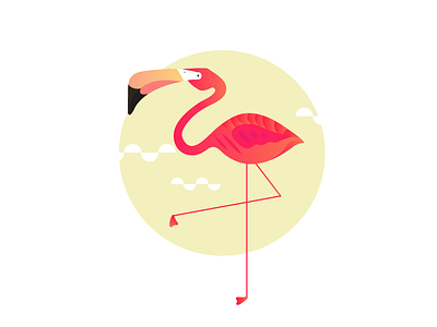 Flamingo bird flamingo illustration