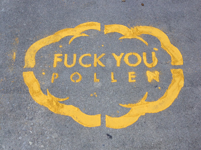 Pollen Aggression branding clean design flat illustration illustrator poster stenciling vector