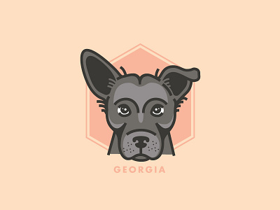 Georgia the dog dogs georgia