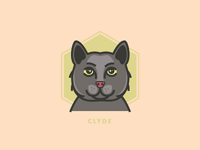 Clyde the cat