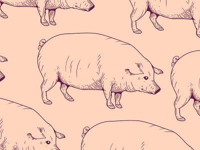 Pork-off charleston design food illustration pig pork ps wacom