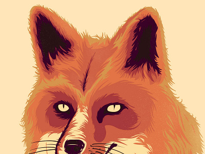 Mr. fox fox illustrator nature vector wild
