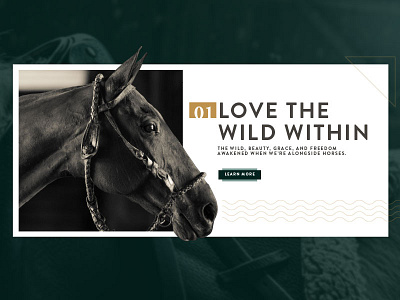 Love the wild animals digital horse model polo stable ui ux web website wild