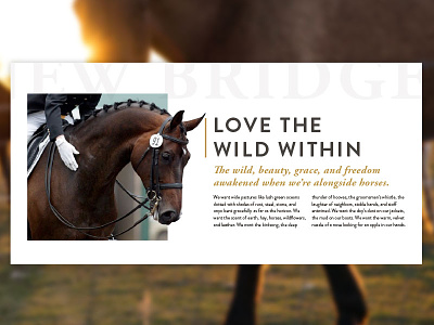 Horsin Around animals digital horse model polo stable ui ux web website wild
