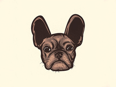 Lil T animals bull dog dogs french bull dog frenchie friends pets pups