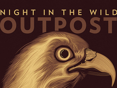 Night in the wild | Osprey animals bird camping feather nature night osprey outpost wild