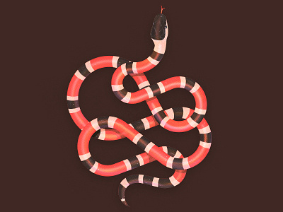 King Snake