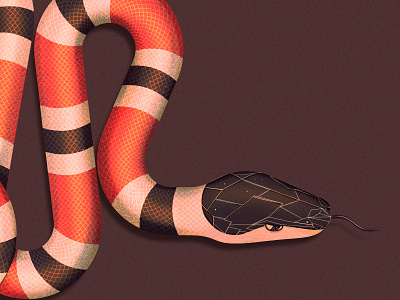 King Snake 2 dark deadly halftones king snake patterns photoshop reptiles scales skulls snakes vector venom