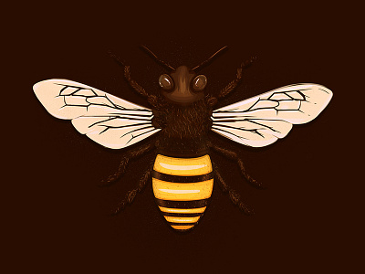 Believe bee bugs golden hair honey icon illustration logo pollen