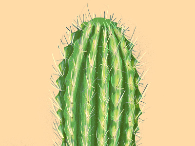 Prick cactus dessert green illustration needles prick the creative pain