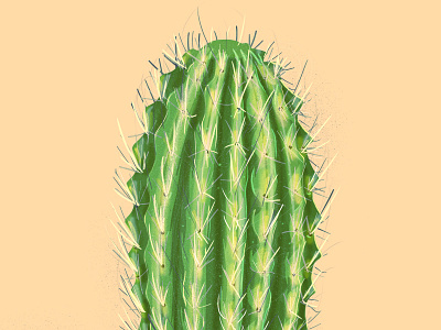 Prick cactus dessert green illustration needles prick the creative pain