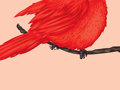 Chirp Chirp birds eye cardinal design illustration nature simple the creative pain vector wild