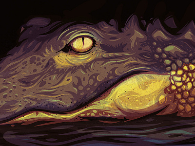 Lurking alligator gator illustration illustrator nature reptile swamp vector