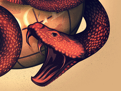 The bite copper head design illustration illustrator nature raddlesnake trust the process typography