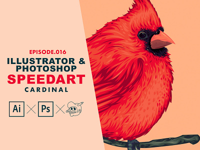 Cardinal bird Speedart [Adobe Illustrator & Photoshop]
