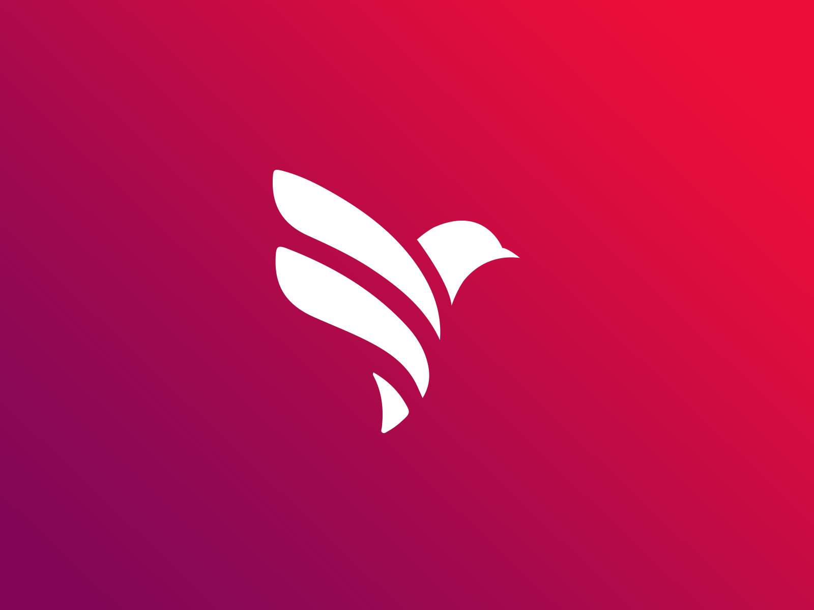 Bird Abstract by Arsalart on Dribbble