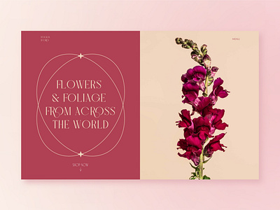 Flowers from Across the World beauty bouquet clean concept design desktop florist flower shop flowers minimal typography ui web website