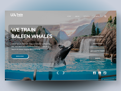 Landing page for Baleen whales trainer adobexd baleen design landing landing page sea ui design web web design website