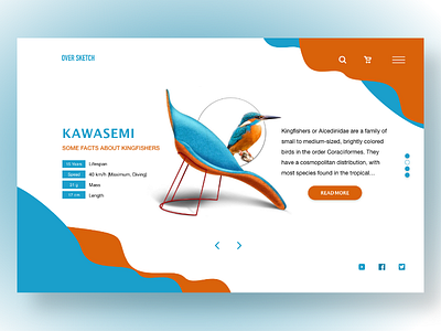 Kingfisher  landing page design