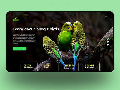 Budgies  landing page