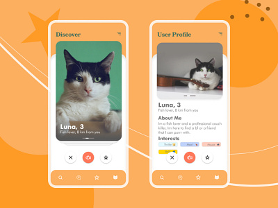 Dailyui challenge 006 - Cat dating app - User Profile dailyui design ux