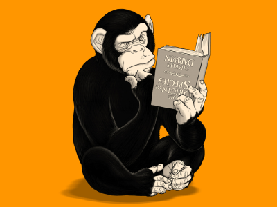 Origin Of Species book charles darwin chimp chimpanzee evolution human monkey origin sitting species thinking
