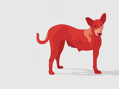 Street Dog design illustration vector