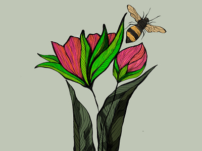 illustration style exploration art bee digital flower illustraion illustration art nature procreate