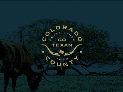 Colorado County beef cattle city county cowboy lockup longhorn municipality ranch steer texas