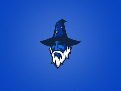 Wizard beard blue fantasy hat lore magic mascot sports wizard