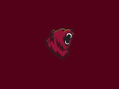 Bear Mascot