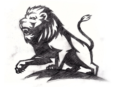 Lion Sketch