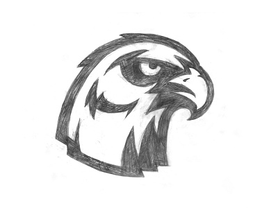 Hawk Sketch beak bird condor eagle feathers hawk mascot phoenix talon