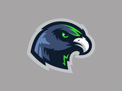 Hawk Mascot