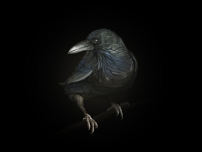 The Raven beak bird condor crow eagle feathers griffin hawk poem raven talons