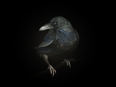 The Raven