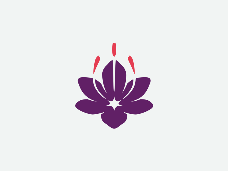 Saffron Crocus crocus fillagree floral floral art floral design flower font lotus lotus flower petals saffron