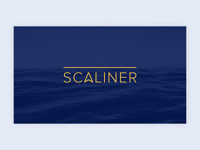 Scaliner | Logo branding logo typography vector