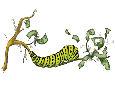 Money Grubber blog caterpillar grub illustration money