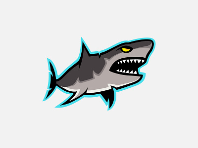 Shark design graphic design illustration shark vector