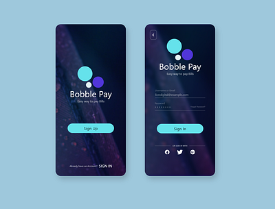 Booble Pay app design illustration logo typography ui ux vector web website