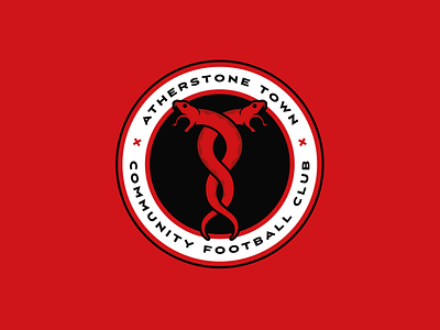 Atherstone Town Community Football Club