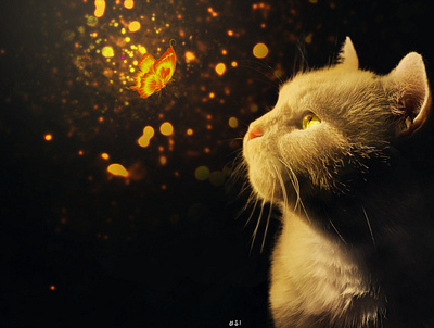 abbas the cat bright cat cats design editing flower photomanipulation vector