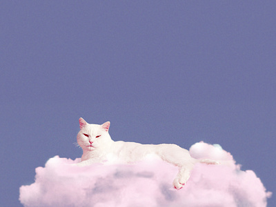 abbas in a cloud bright cat cloud edit illustration pastel photomanipulation