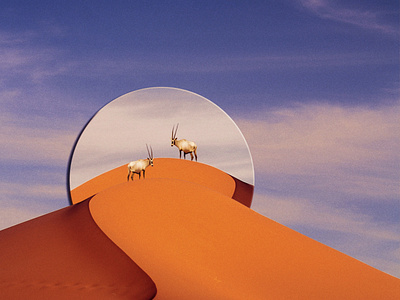 desert mirror bright deer desert illustration mirror photomanipulation