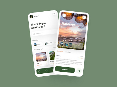 Dtraveller app home design ui ui design ux ux design