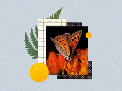 Untitled Collage #1