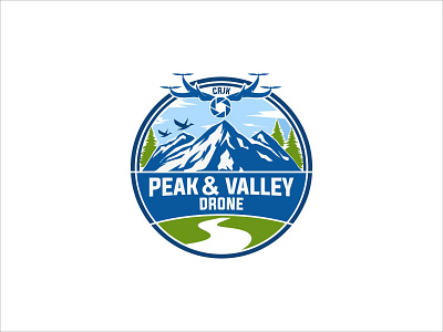 Peak an Valley Drone company drone logo logos logotype mountain technology