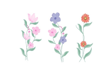 Flower Vector design flower graphic design illustration vector